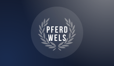 Pferd Wels