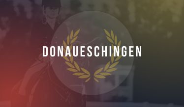 Donaueschingen Donaueschingen