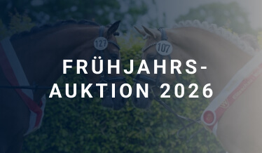 Frühjahrs-Auktion 2026