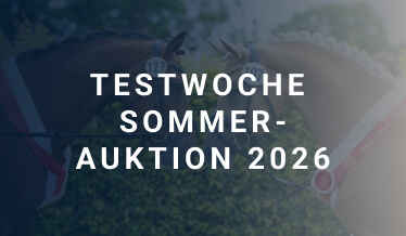 Testwoche Sommer-Auktion 2026