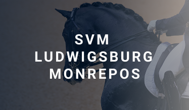 Ludwigsburg Monrepos