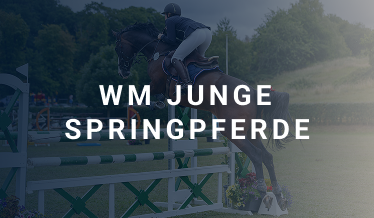 WM Junge Springpferde